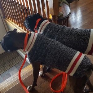 Meet your Posher, Lori